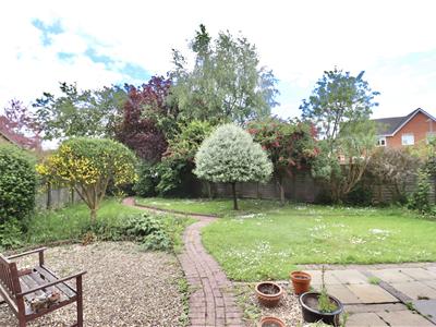 Picture 23